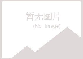 宁夏向雪化学有限公司